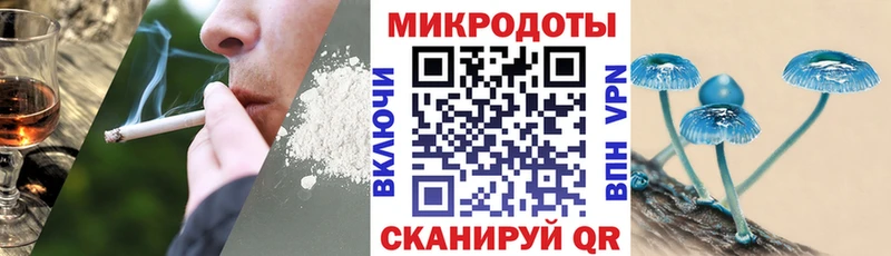закладки  mega зеркало  Галлюциногенные грибы Magic Shrooms  Западная Двина 